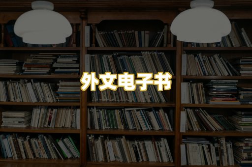 外文电子书